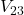 V_{23}
