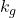 k_{g}