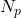 N_{p}