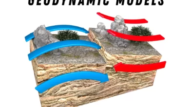 Geodynamic models