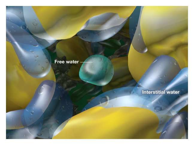 Interstitial water, core sample, Special Core Analysis, Capillary Pressure, Relative Permeability, Steady-state and Unsteady state, Wettability Determination, Reservoir Condition Corefloods, Improved Oil Recovery (IOR, EOR) Studies, Petrophysical Correlation Measurements, Archie Exponents a m and n, NMR Core Analysis, Core Geomechanics, Core Mechanical Properties, Pore Volume Compressibility, Formation Damage Remediation, Rock Fluid Sensitivity, Mobile Fines (Fines Particle Migration), Fluid Compatibility, Mud Completion Fluid Damage, Perforation Optimization, Relative Permeability Effects, Asphaltene Precipitation, Computed Tomography CT Scan Evaluation, Petroleum Core Analysis