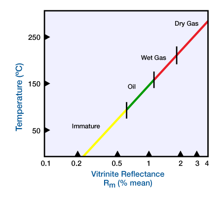 Linear increase in temperature increases the reflectivity of vitrinite exponentially, Maturation processes, Source rock, Prospect Generation