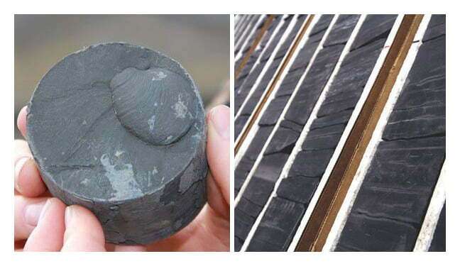 Shale core