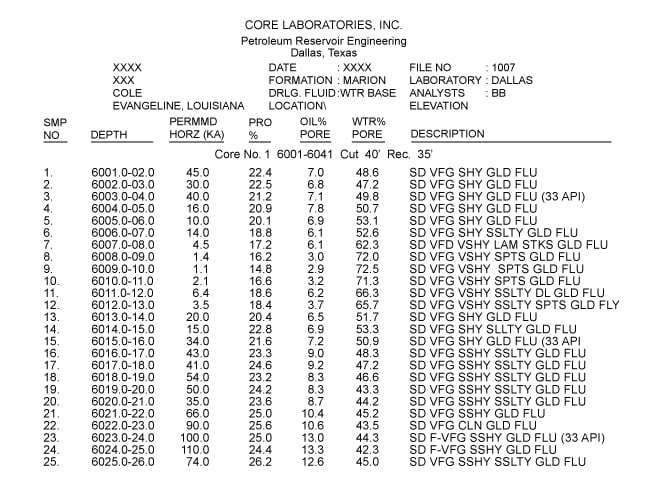 conventional core analysis for the CAD No. 1 well, of the Louisiana Gulf Coast