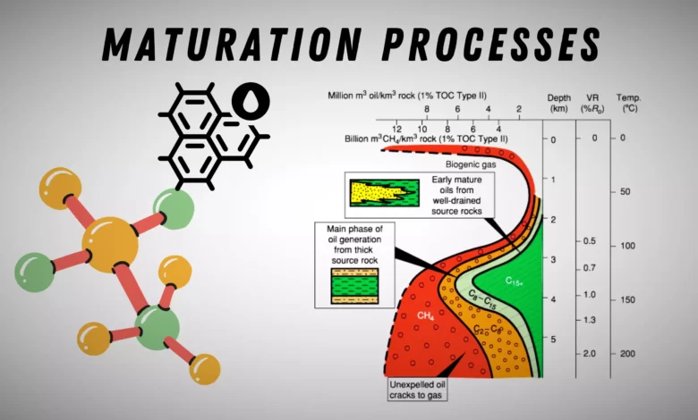 maturation processes hydrocarbon generation
