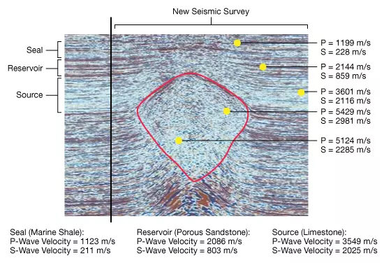 seismiccsurvey test