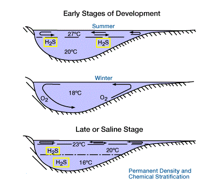 the transformation of organic matter to petroleum, source rocks,
source rocks examples,
petroleum source rocks,
source rock and reservoir rock, source rock evaluation, characteristics of petroleum source rock, Organic matter, Kerogen, Sedimentary rocks, Shale, Clay minerals, Carbonate rocks, Oil generation, Thermal maturity, Hydrocarbon potential, TOC (Total Organic Carbon), Hydrocarbon source, Petroleum system, Depositional environment, Diagenesis, Maturation history, Hydrocarbon expulsion, Catagenesis, Oil shale, Gas shale, Source rock evaluation, Organic geochemistry, Thermal cracking, Hydrocarbon generation potential, Source rock analysis, Hydrocarbon expulsion efficiency