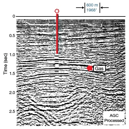 Bright spot indicator on a seismic section, , Seismic Interpretation Methods, Seismic Modeling, Seismic