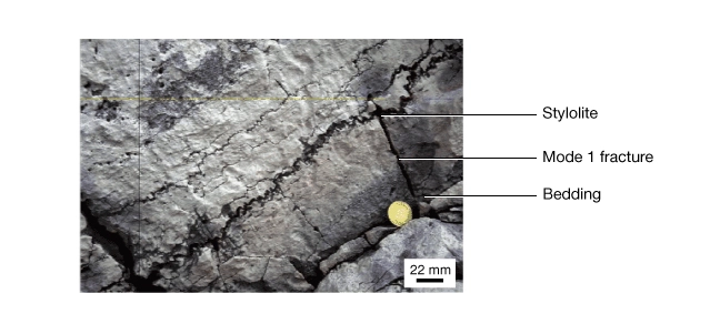 Example of stylolites in carbonates