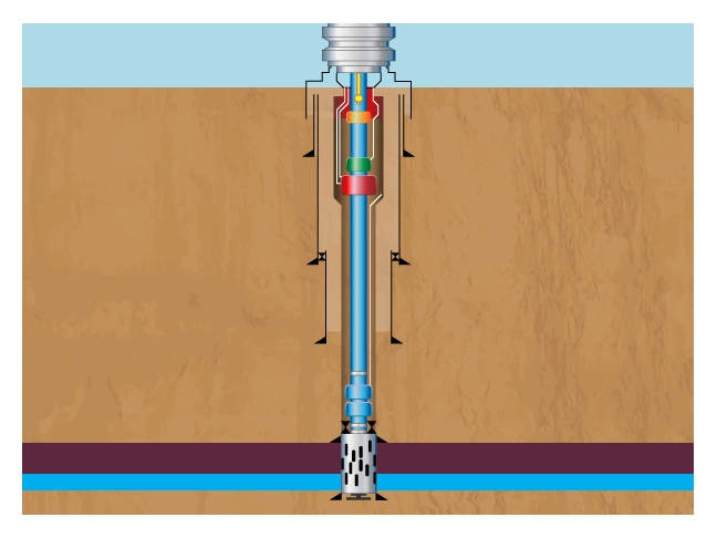 Low Resistivity and Low Contrast Pay | Petro Shine