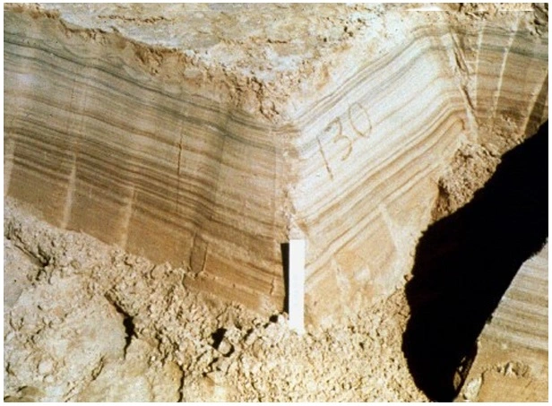 Finely laminated section, not fully resolvable with standard well logs, shale content, Shale composition, Petrophysical analysis, Shale reservoir characterization, Porosity evaluation, Shale mineralogy, Petrophysical properties, Organic matter content, Shale gas potential, Petrophysical modeling, Clay content analysis, Shale permeability, Petrophysical interpretation, Shale formation evaluation, Total organic carbon (TOC), Shale geomechanics, Petrophysical parameters, Brittle shale, Shale facies analysis, Petrophysical logs, Shale porosity types, Petrophysical measurements, Shale core analysis, Effective porosity, Shale pore structure, Petrophysical evaluation methods, Shale water saturation