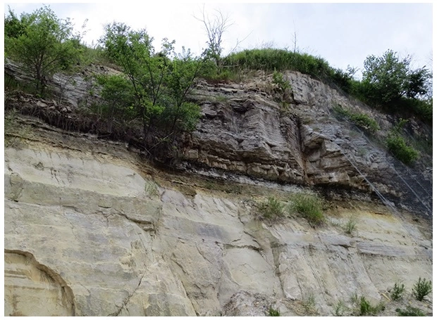 Shale formation above a shaly sandstone, shale content, Shale composition, Petrophysical analysis, Shale reservoir characterization, Porosity evaluation, Shale mineralogy, Petrophysical properties, Organic matter content, Shale gas potential, Petrophysical modeling, Clay content analysis, Shale permeability, Petrophysical interpretation, Shale formation evaluation, Total organic carbon (TOC), Shale geomechanics, Petrophysical parameters, Brittle shale, Shale facies analysis, Petrophysical logs, Shale porosity types, Petrophysical measurements, Shale core analysis, Effective porosity, Shale pore structure, Petrophysical evaluation methods, Shale water saturation