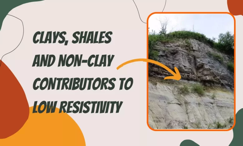 Clays, Shales and Non-Clay Contributors to Low Resistivity