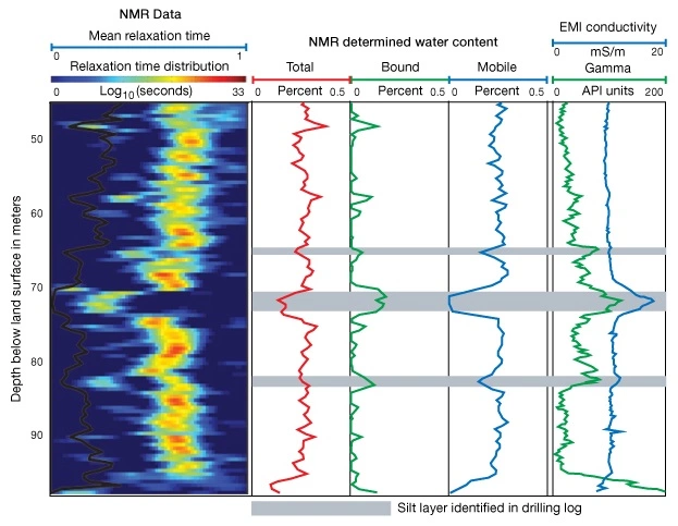 Nuclear magnetic resonance log, low resistivity and low contrast pay 