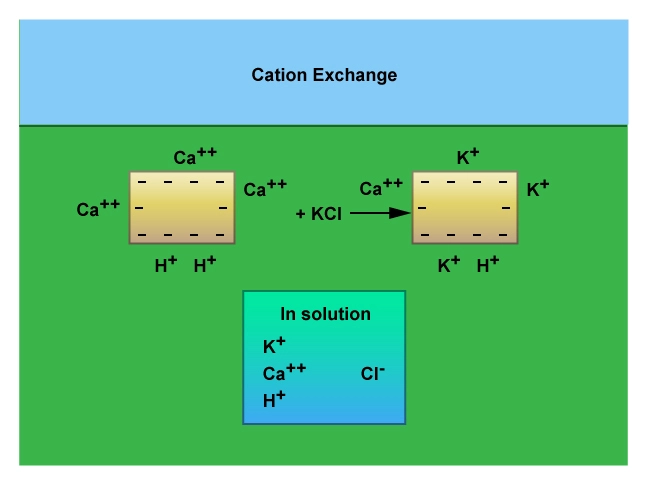 Cation exchange illustration, shale content, Shale composition, Petrophysical analysis, Shale reservoir characterization, Porosity evaluation, Shale mineralogy, Petrophysical properties, Organic matter content, Shale gas potential, Petrophysical modeling, Clay content analysis, Shale permeability, Petrophysical interpretation, Shale formation evaluation, Total organic carbon (TOC), Shale geomechanics, Petrophysical parameters, Brittle shale, Shale facies analysis, Petrophysical logs, Shale porosity types, Petrophysical measurements, Shale core analysis, Effective porosity, Shale pore structure, Petrophysical evaluation methods, Shale water saturation