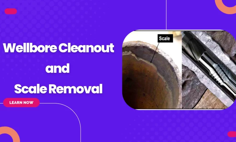 Wellbore Cleanout and Scale Removal, Acidizing, Scale Removal, Wellbore Cleanout