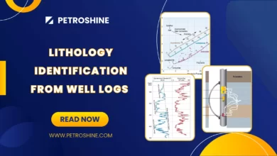 Lithology Identification From Well Logs