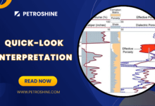 Quick Look Interpretation in Petrophysics, Quick Look Interpretation