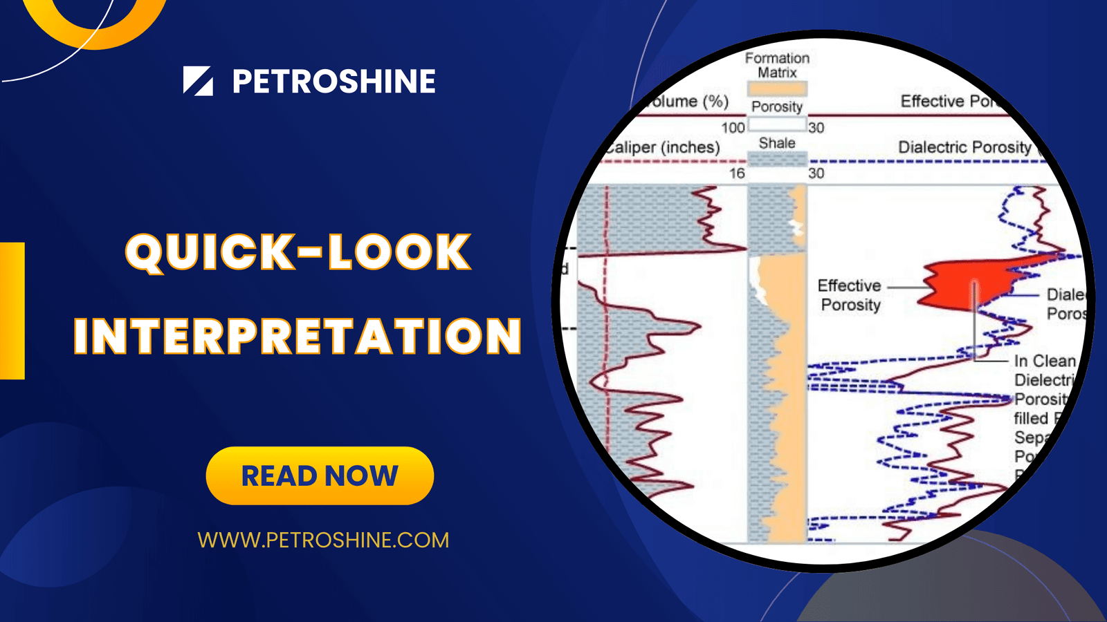 Quick Look Interpretation Petro Shine