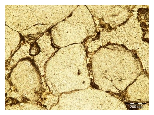 Thin section of clay showing overgrowths, clay content, Shale composition, Petrophysical analysis, Shale reservoir characterization, Porosity evaluation, Shale mineralogy, Petrophysical properties, Organic matter content, Shale gas potential, Petrophysical modeling, Clay content analysis, Shale permeability, Petrophysical interpretation, Shale formation evaluation, Total organic carbon (TOC), Shale geomechanics, Petrophysical parameters, Brittle shale, Shale facies analysis, Petrophysical logs, Shale porosity types, Petrophysical measurements, Shale core analysis, Effective porosity, Shale pore structure, Petrophysical evaluation methods, Shale water saturation